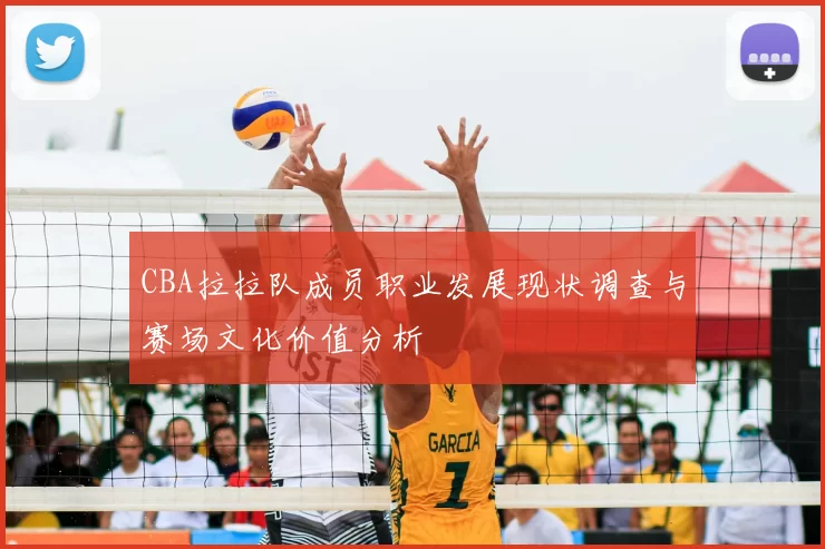 CBA拉拉队成员职业发展现状调查与赛场文化价值分析
