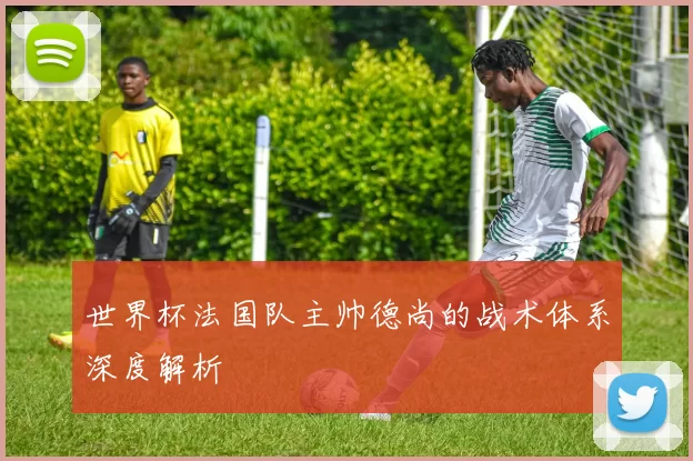 世界杯法国队主帅德尚的战术体系深度解析