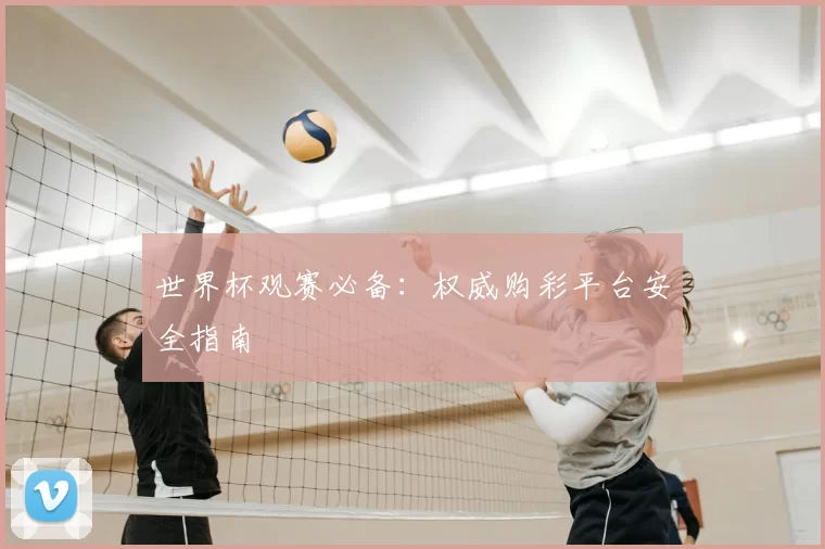 世界杯观赛必备：权威购彩平台安全指南