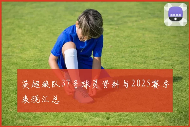 英超狼队37号球员资料与2025赛季表现汇总