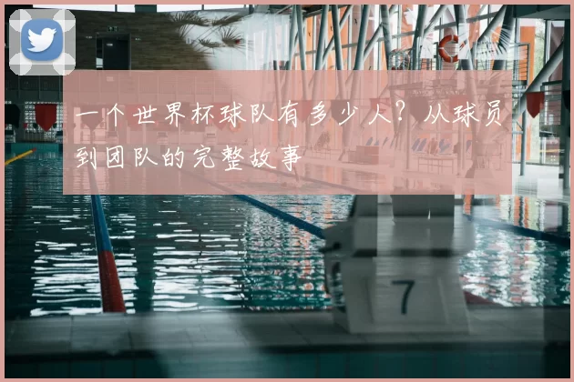 一个世界杯球队有多少人?从球员到团队的完整故事