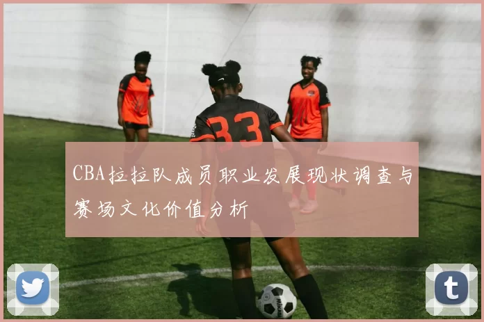 CBA拉拉队成员职业发展现状调查与赛场文化价值分析