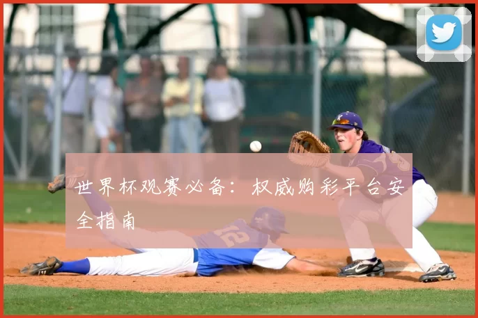 世界杯观赛必备:权威购彩平台安全指南