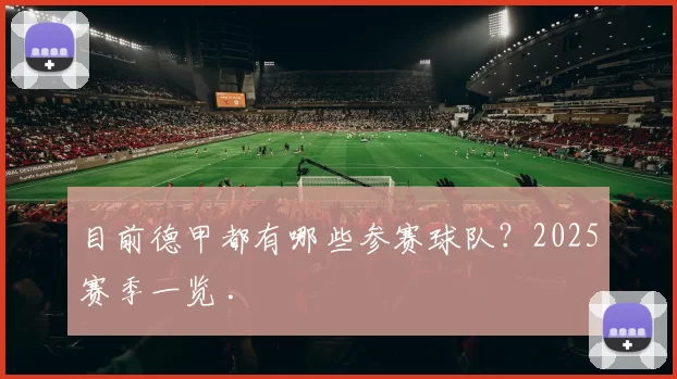 目前德甲都有哪些参赛球队？2025赛季一览 .