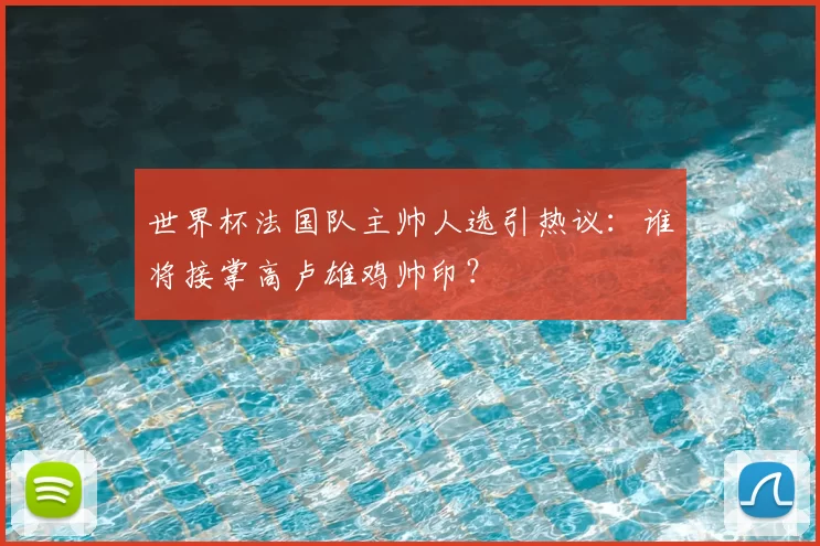 世界杯法国队主帅人选引热议：谁将接掌高卢雄鸡帅印？