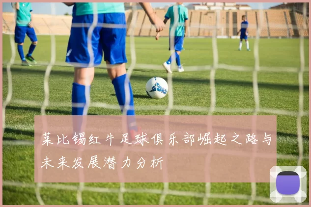 莱比锡红牛足球俱乐部崛起之路与未来发展潜力分析