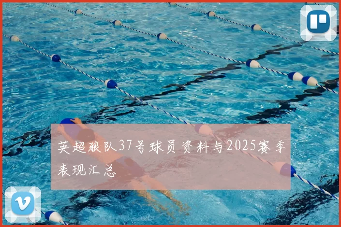 英超狼队37号球员资料与2025赛季表现汇总