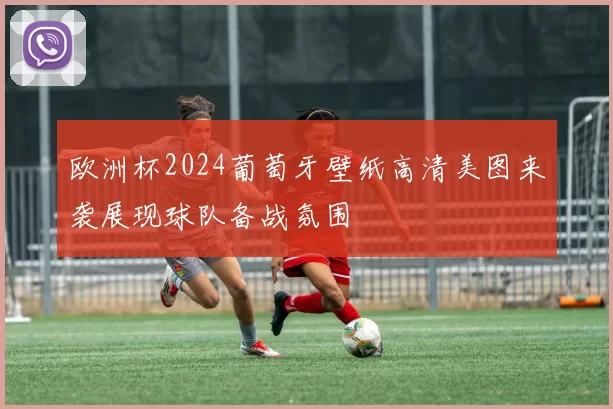 欧洲杯2024葡萄牙壁纸高清美图来袭展现球队备战氛围