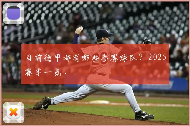 目前德甲都有哪些参赛球队？2025赛季一览 .