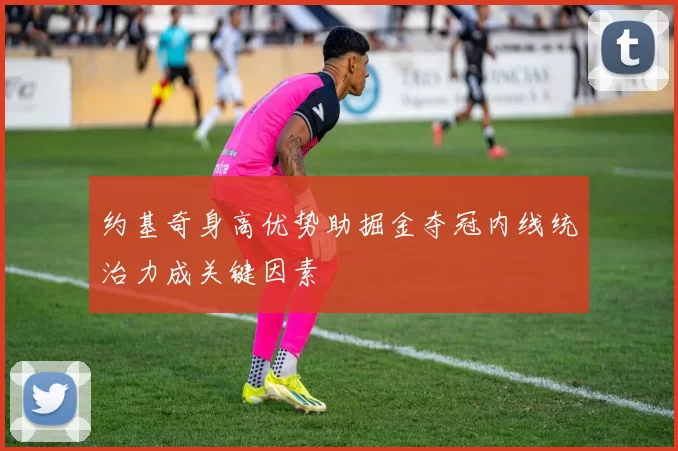 约基奇身高优势助掘金夺冠内线统治力成关键因素